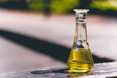 Gündüz vakti ahşap bir tahtanın üzerinde yağ kaplamalı küçük cam şişe salatalar ve sağlıklı yiyecekler için doğal malzemeler - diyet, cilt bakımı veya masaj terapisi imajı kavramı