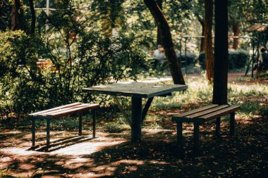 Parktaki ya da ormandaki ahşap piknik tezgahları ve masaları güneşli bir günde ağaçlarla çevrili. Rahatlamak ve dinlenmek için huzurlu bir yer.