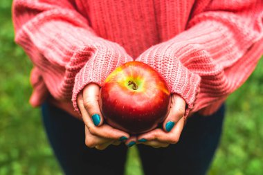 Bir meyve bahçesinde elma tutan genç bir kadın yeşil doğal bir manzarada kırmızı organik meyveler tutan genç bir çiftçi.