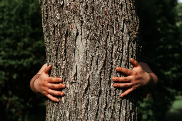 Manos Persona Abrazando Tronco Árbol Marrón Brillante Durante Día Soleado — Foto de Stock