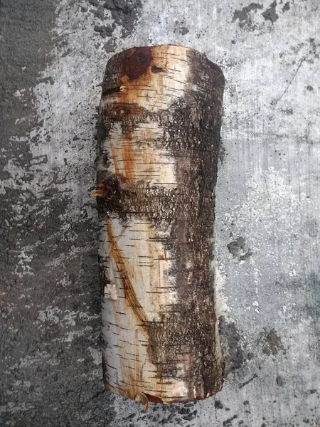 Primer Plano Vertical Tronco Árbol Marrón Con Corteza Erosionada Sentado — Foto de Stock