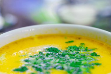 Sarı tavuk çorbası, kremalı ve maydanozlu beyaz kasede garnitür. Et ve sebzeli lezzetli ve besleyici bir yemek için geleneksel bir tarif.