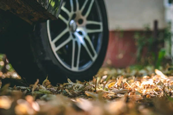 Hojas Secas Frágiles Suelo Con Neumático Coche Negro Fondo Con — Foto de Stock