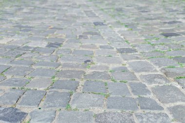 Ayrıntılı dokuya sahip soyut gri kabataslak arkaplan. Kopya alanına sahip katı beton duvarlı