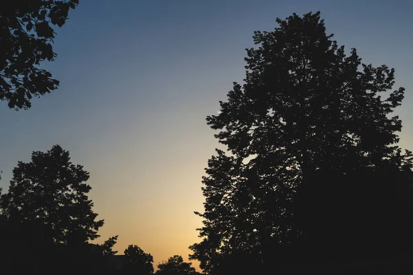 Prachtige Avond Hemel Landschap Met Silhouet Van Bomen Natuurlijke Zomerzon — Stockfoto