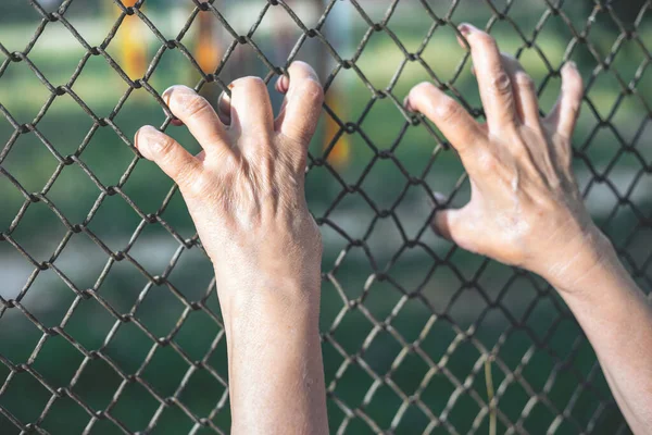 Hands Held Chain Fence Fingers Inserted Some Metallic Wire Mesh — Stock Photo, Image