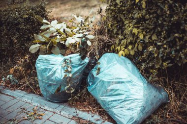 Kurumuş çimen ve yapraklarla dolu çöp poşetleri parkta kaldırımın kenarına yerleştirilmiş. Geri dönüşüm ve çevre temizliği için resmi kavra