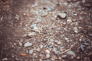 Büyük taşlar ve kurumuş bitkilerle kayalık bir yol. Dağlarda ya da vahşi parklarda sarp yokuş. Macera için resim kavramı