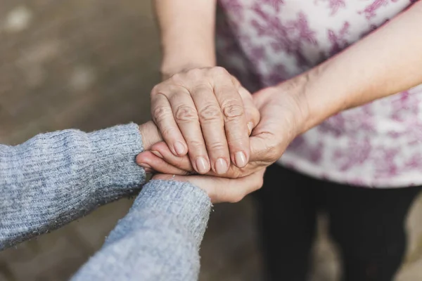 Eine Seniorin Hält Einem Sonnigen Tag Park Einem Jungen Menschen — Stockfoto