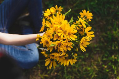 Genç adam dışarıda bir buket yabani sarı çiçek veriyor. Aydınlık bir yaz gününde küçük güzel çiçekler sunan bir kadın. Aşk ve aile için imaj kavramı