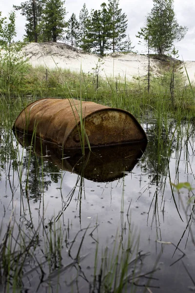 Among the coniferous forest in clean water is a rusty empty barrel.