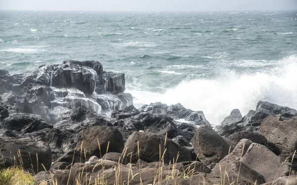 Kamenité Divokého Moře Pobřeží — Stock fotografie