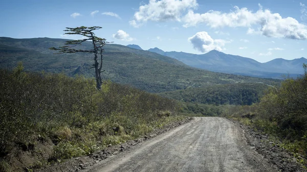 Geniş bir alana doğru toprak bir yol. Dağ yolu ve gökyüzü.