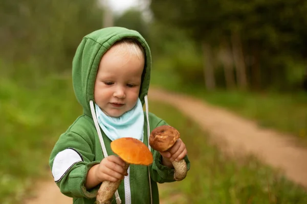 Joyeux bébé, vêtu de vert avec capuche, tenant des champignons de la forêt et les regardant. — Photo