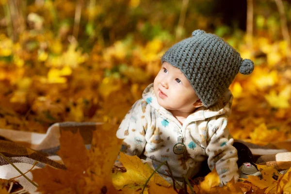 Petit bébé mignon dans un chapeau drôle avec des oreilles assises dans le parc en automne ensoleillé jour — Photo