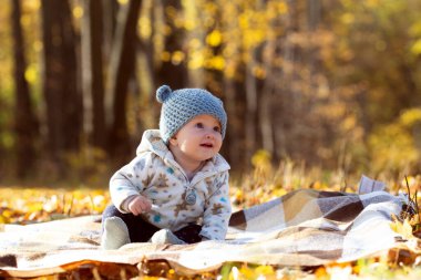Güneşli bir sonbahar gününde parkta oturan, komik şapkalı, küçük şirin bir bebek.