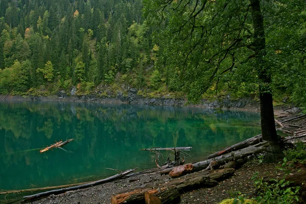 Hermoso lago de montaña con bosque de coníferas que rodea el lago. Otoño niebla tiempo — Foto de Stock