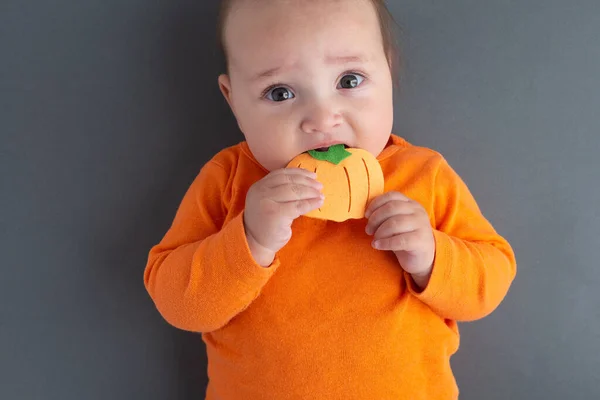 Bebê bonito usando manga comprida laranja mantendo brinquedo de abóbora na boca. Piada de Halloween — Fotografia de Stock