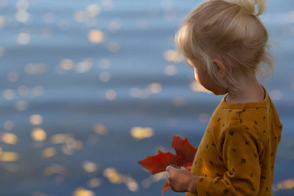 Niña rubia pequeña con hoja de arce rojo en la mano viendo hojas amarillas de otoño flotando en el lago — Foto de Stock