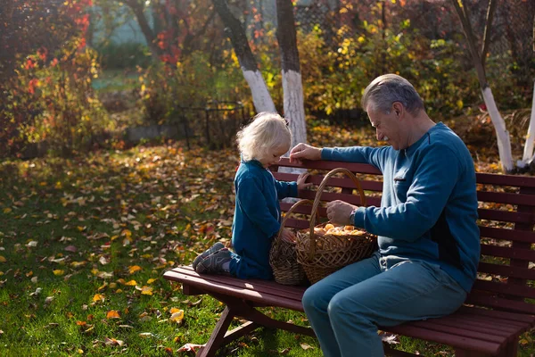 Grandfather and his small granddaughter after mushroom picking. Family is sitting in the garden in autumn sunny day with mushroom baskets. Family time and cottagecore aesthetics concept.