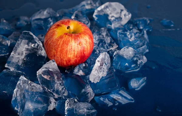 Apple in ice on a dark blue background