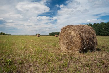 Hasattan sonra lütfen