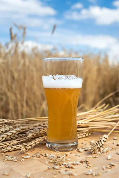 Sklenici pšeničného piva. — Stock fotografie