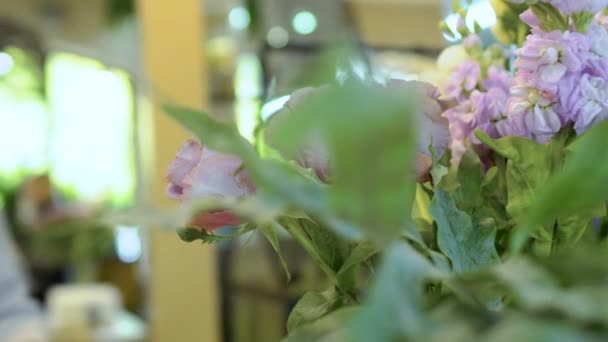 Floristas estão trabalhando em loja de flores, câmera em movimento — Vídeo de Stock