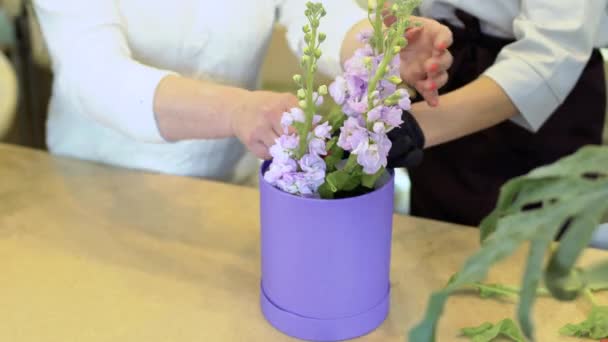 Bloemist en assistent maken bloem compositie in doos met floristic spons — Stockvideo