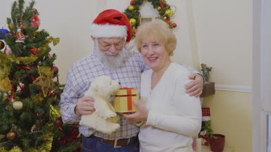 Mutlu yaşlı çift hediyeler ve Noel ağacı yakınındaki beyaz ayı ile oynamak. Kırmızı santa şapka dedesi karısından sarıl. Mutlu olgun insanlar kış tatil evde birlikte geçirmek.