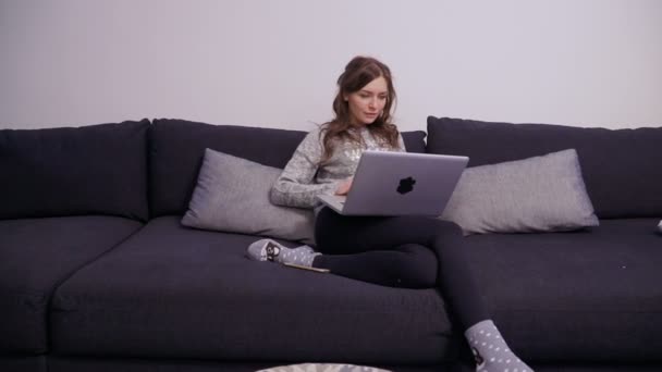Stylish brunette in grey sweater uses laptop sitting on sofa at home — Stock Video