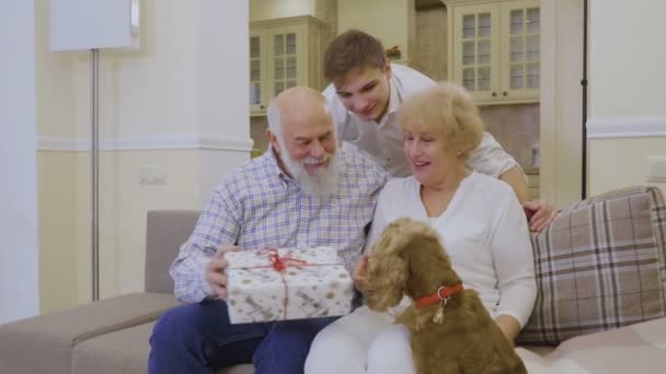 Бабушка и дедушка празднуют Рождество с внуком и их собакой — стоковое видео