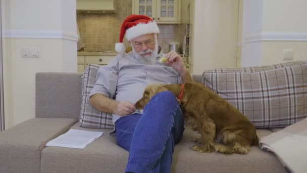 Söt hund frågar några mellanmål i senior mannen Santas hatt — Stockvideo