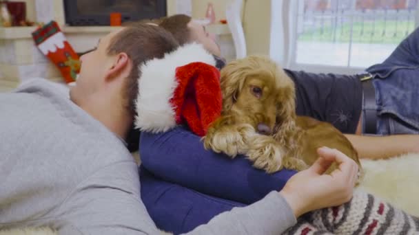 Schattige hond chews Santas hoed — Stockvideo