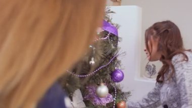 İki kız arkadaşım Noel ağacı evde süsle. Güzel kızlar oyuncaklar asmak ve köknar ağacı üzerinde renkli çelenk koyar. İki genç kız kış tatilleri için hazırlar ve iyi eğlenceler