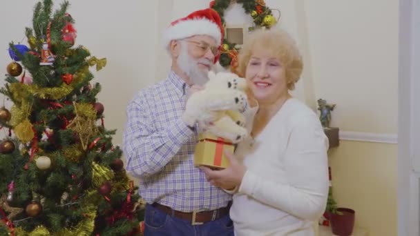 幸せな老夫婦は プレゼントやクリスマス ツリーの近く白いクマと遊ぶ 赤いサンタ帽子をかぶっての祖父は彼の妻を抱っこ 成熟した人々 が家で年末年始を一緒に過ごす幸せ — ストック動画