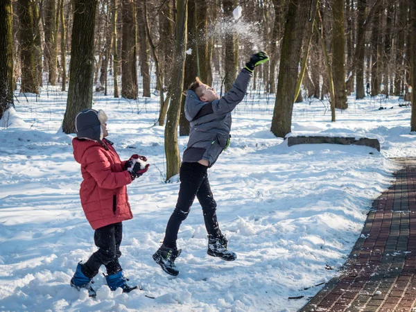 Kaksi pientä poikaa oksentaa lunta ja pitää hauskaa talvipuistossa. — kuvapankkivalokuva