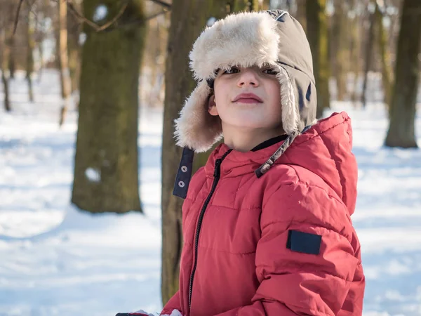 Søt liten gutt i rød jakke ved vinterparkens bakgrunn. – stockfoto
