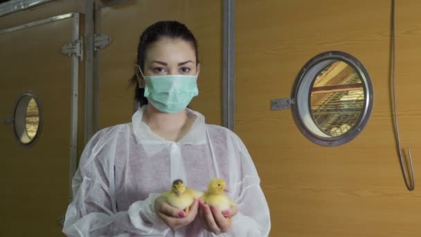 Жінка з каченятами в руках стоїть біля інкубатора на птахофабриці — стокове відео