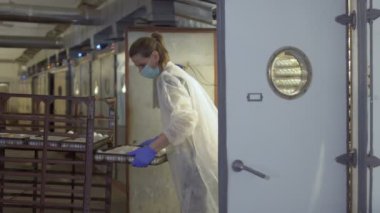 Tavuk çiftliği alt toplamak tepsileri ile yumurta kuluçka