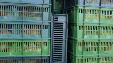 Ördek yavrusu kutularıyla taşıma için hazırlamak