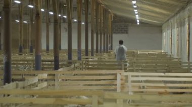 Çiftçi toplamak ördek yumurta tavuk çiftliğinde paddocks arasında yürüyüş