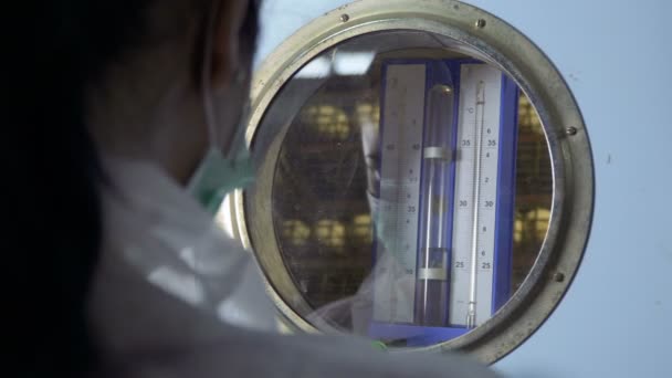 Inspector compruebe temperatura dentro de incubadora en granja avícola — Vídeos de Stock