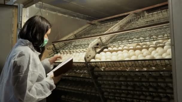 Inspetor verifique ovos na incubadora na granja de aves — Vídeo de Stock