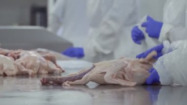 İşçi silin ham ördek aşırı neme