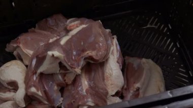 Ördek eti tavuk çiftliğinde imalatı