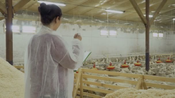 Проверка загонов с утками на птицефабрике — стоковое видео