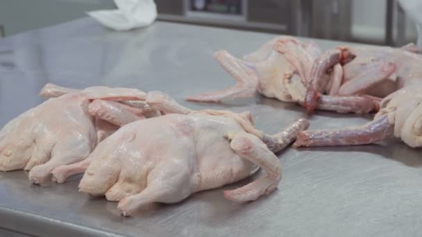 Raw duck meat in workshop — Stock Video