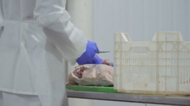 İşçi ham ördek bölmek ve et satışı için hazırlamak