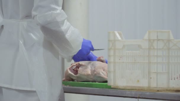 労働者の生鴨を彫るし、販売のための肉を準備 — ストック動画